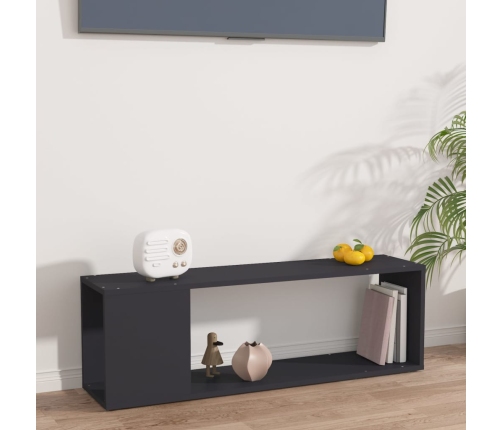 Mueble para TV madera contrachapada gris 100x24x32 cm