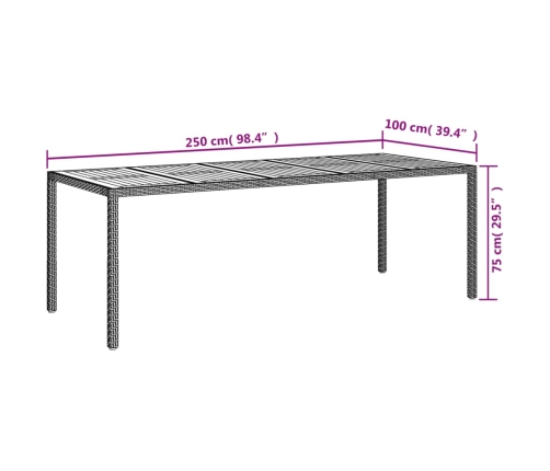 Mesa de jardín de ratán sintético negro 250x100x75 cm