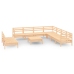 Juego de muebles de jardín 10 piezas madera maciza de pino