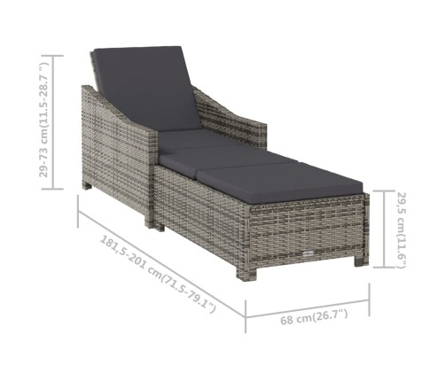 vidaXL Tumbona de jardín con cojín de ratán sintético gris oscuro