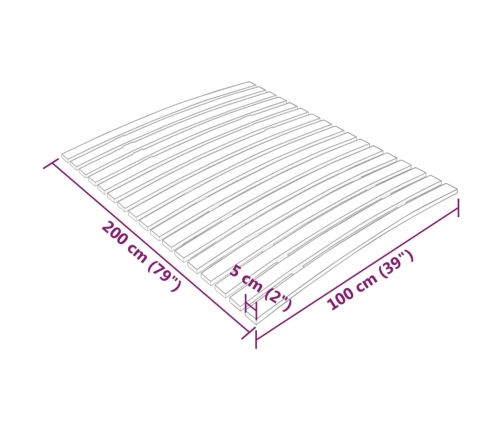 Somier de láminas con 17 listones 100x200 cm
