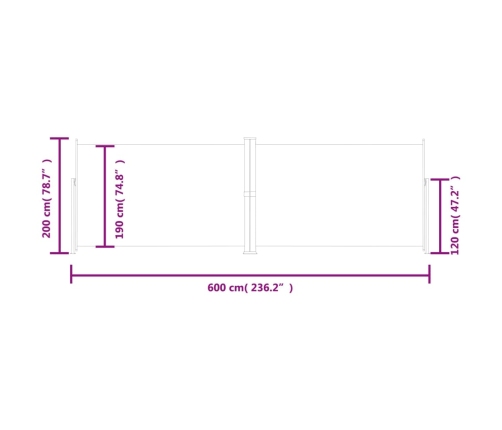 Toldo lateral retráctil antracita 200x600 cm