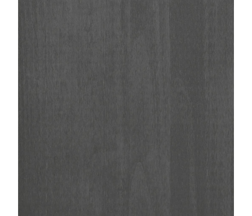 vidaXL Mesitas noche 2 uds HAMAR pino macizo gris oscuro 40x35x44,5 cm