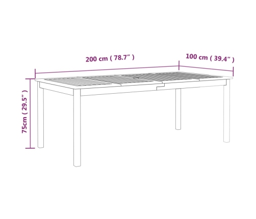 Mesa de jardín madera maciza de acacia gris 200x100x75 cm