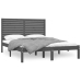 Estructura de cama de madera maciza gris 120x200 cm