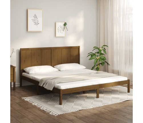 Estructura de cama madera maciza de pino marrón miel 200x200 cm