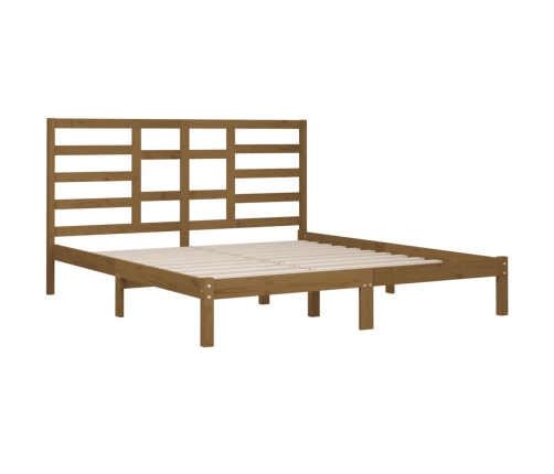 vidaXL Estructura de cama madera maciza de pino marrón miel 200x200 cm