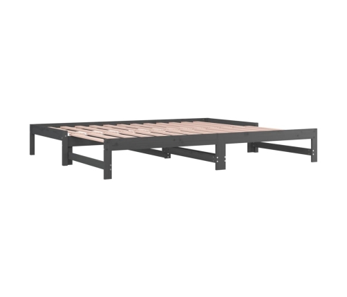 Sofá cama extraíble madera maciza de pino gris 2x(80x200) cm