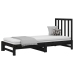 Sofá cama extraíble sin colchón negro 2x(90x190) cm