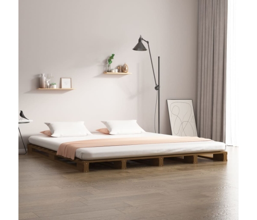 vidaXL Cama de palets de madera maciza de pino marrón miel 120x200 cm