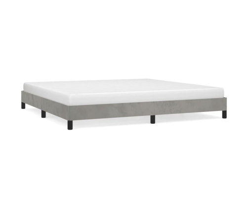 Estructura de cama sin colchón terciopelo gris claro 200x200 cm