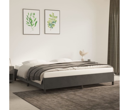 Estructura cama sin colchón terciopelo gris oscuro 200x200 cm