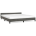 Estructura de cama sin colchón terciopelo gris oscuro 160x200cm