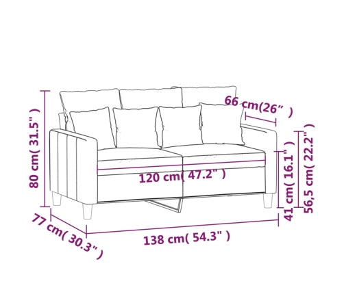 vidaXL Sofá de 2 plazas de terciopelo gris claro 120 cm