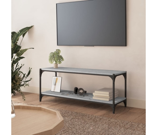 Mueble para TV contrachapada y acero gris Sonoma 100x33x41 cm