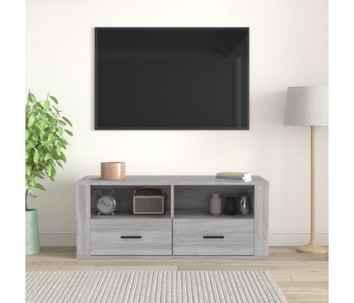 Mueble de TV madera contrachapada gris Sonoma 100x35x40 cm