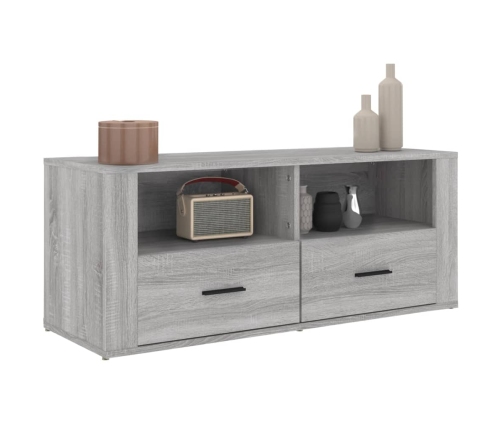 Mueble de TV madera contrachapada gris Sonoma 100x35x40 cm