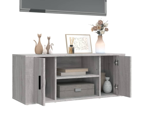 Mueble de TV madera contrachapada gris Sonoma 100x35x40 cm