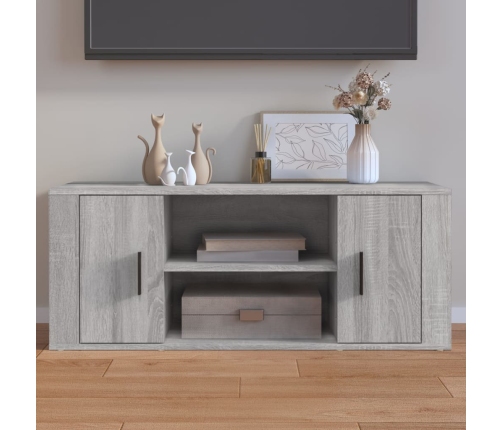 Mueble de TV madera contrachapada gris Sonoma 100x35x40 cm