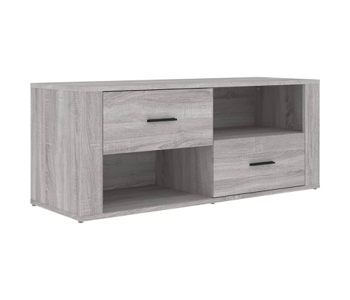 Mueble de TV madera contrachapada gris Sonoma 100x35x40 cm