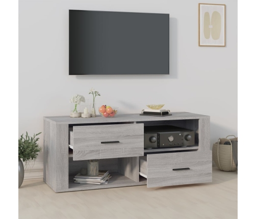 Mueble de TV madera contrachapada gris Sonoma 100x35x40 cm