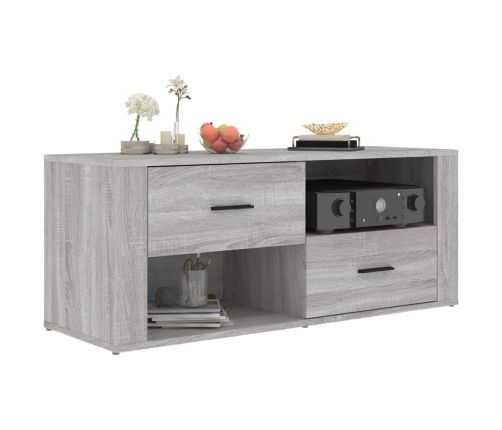 Mueble de TV madera contrachapada gris Sonoma 100x35x40 cm