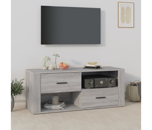 Mueble de TV madera contrachapada gris Sonoma 100x35x40 cm