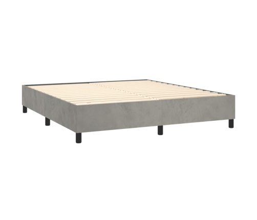 vidaXL Estructura de cama de terciopelo gris claro 160x200 cm