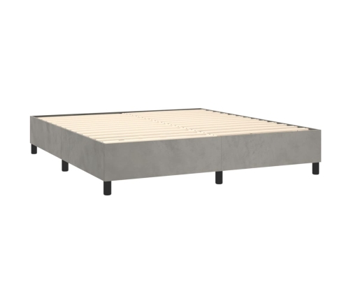 Estructura de cama sin colchón terciopelo gris claro 200x200 cm