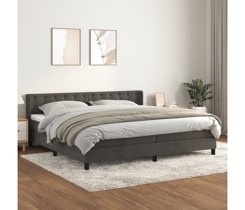 Cama box spring con colchón terciopelo gris oscuro 200x200 cm