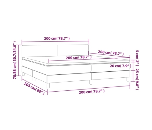 Cama box spring con colchón y LED tela gris oscuro 200x200 cm