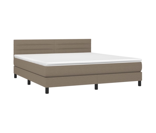 Cama box spring colchón y luces LED tela gris taupe 160x200 cm