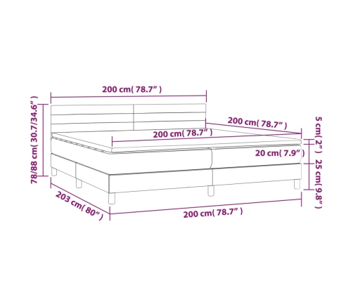 Cama box spring colchón luces LED tela marrón oscuro 200x200 cm