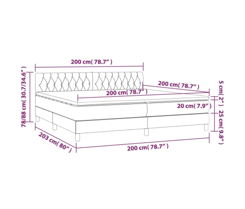 Cama box spring colchón luces LED tela marrón oscuro 200x200 cm