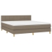 Cama box spring con colchón LED tela gris taupe 160x200 cm