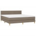 Cama box spring con colchón LED tela gris taupe 160x200 cm