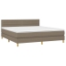 Cama box spring con colchón LED tela gris taupe 180x200 cm