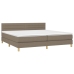 Cama box spring con colchón LED tela gris taupe 200x200 cm