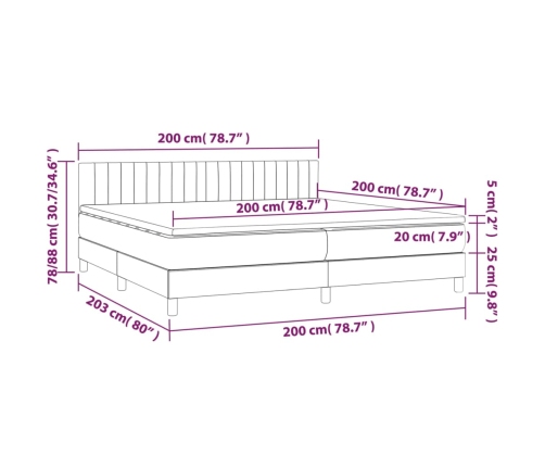 Cama box spring con colchón LED tela marrón oscuro 200x200 cm