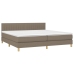 Cama box spring con colchón LED tela gris taupe 200x200 cm