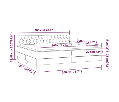 Cama box spring con colchón LED tela negro 200x200 cm