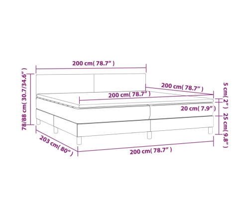 Cama box spring colchón y LED terciopelo gris oscuro 200x200 cm
