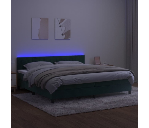 Cama box spring colchón y LED terciopelo verde oscuro 200x200cm