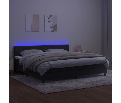 Cama box spring colchón y LED terciopelo negro 200x200 cm