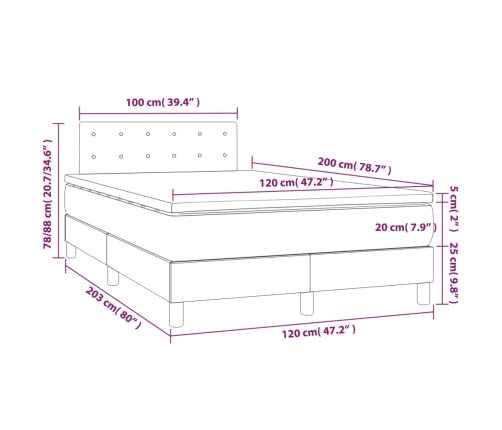 Cama box spring colchón y LED terciopelo gris oscuro 120x200 cm