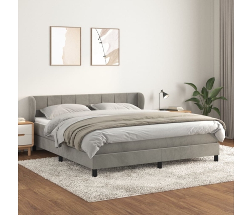 Cama box spring con colchón terciopelo gris claro 160x200 cm