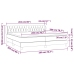 Cama box spring con colchón terciopelo rosa 200x200 cm