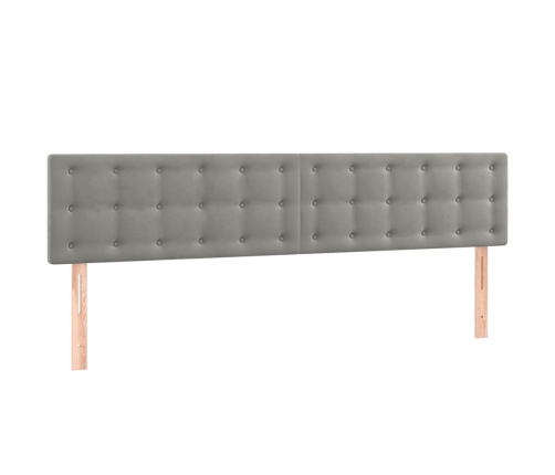 Cama box spring con colchón terciopelo gris claro 180x200 cm