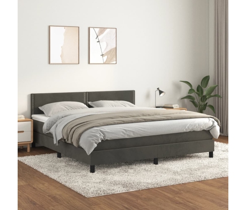 Cama box spring con colchón terciopelo gris oscuro 160x200 cm