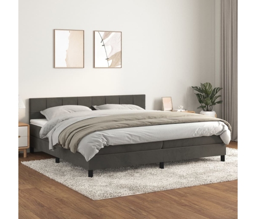 Cama box spring con colchón terciopelo gris oscuro 200x200 cm